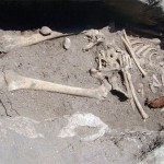"Вампирски" скелет