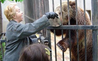 Мечокът Антоний от Софийският зоопарк навърши 6 години