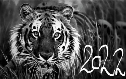2022 е година на Черния воден тигър