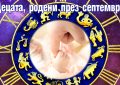 ДЕЦАТА РОДЕНИ ПРЕЗ СЕПТЕМВРИ 2023 ГОДИНА