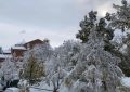 Месечен хороскоп на България за декември 2023 г.