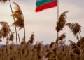 Достойнството на тръстиката