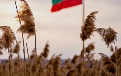 Достойнството на тръстиката